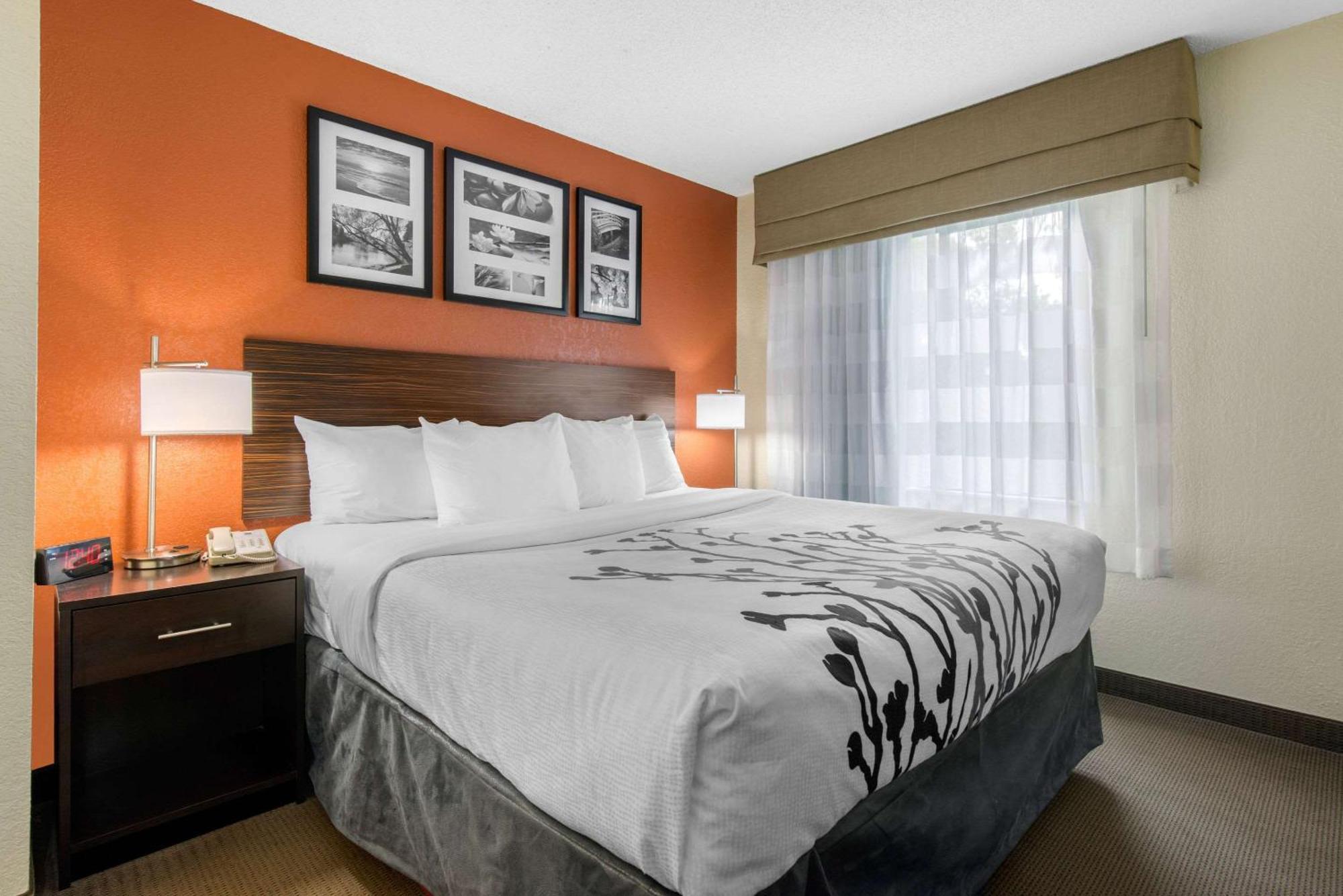 Sleep Inn Sarasota North Exteriör bild