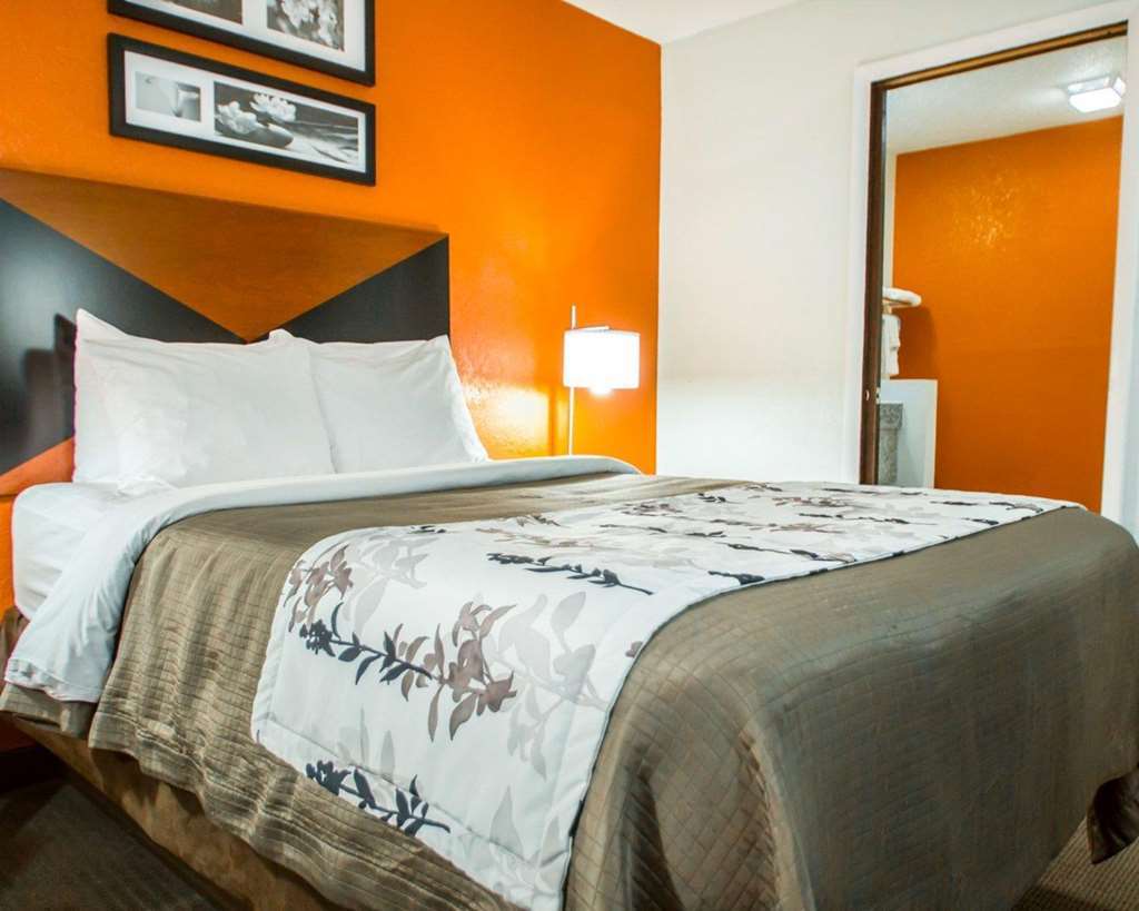 Sleep Inn Sarasota North Rum bild